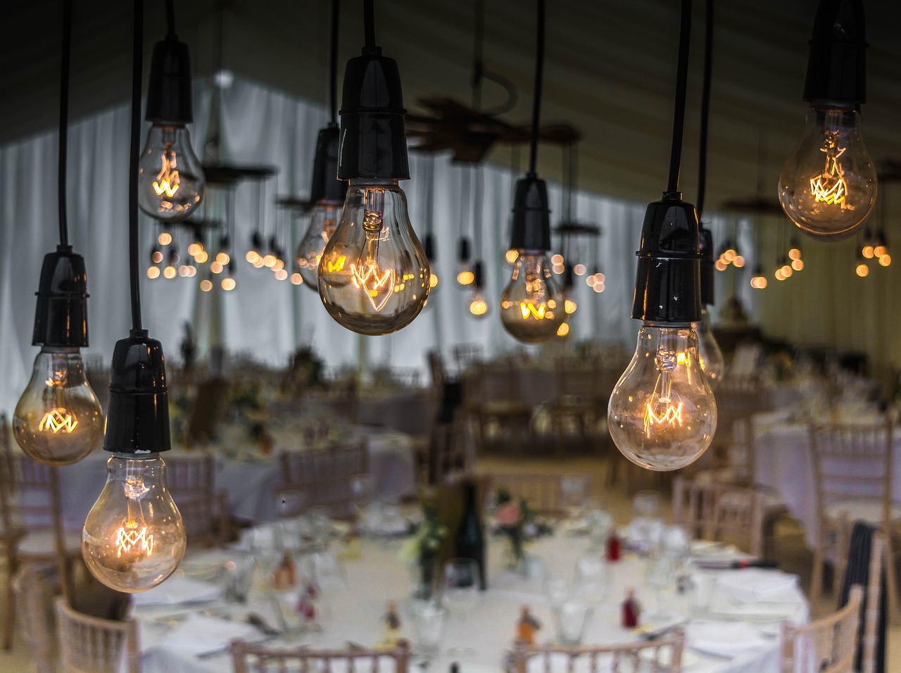 wedding, bulbs, lighting, event